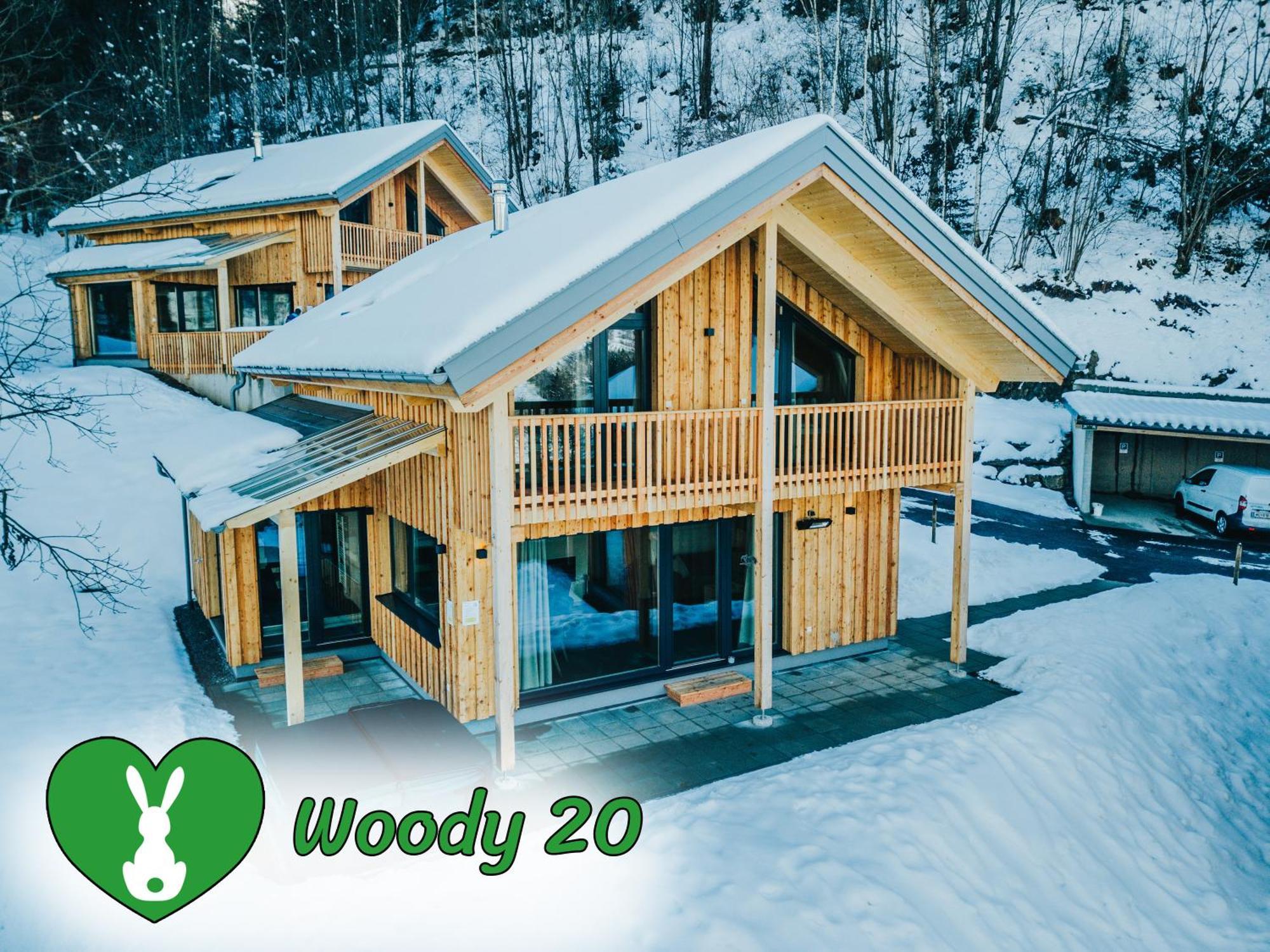 Woody Park Villa ซังคท์เกออร์เกน อ็อบ มูเรา ภายนอก รูปภาพ