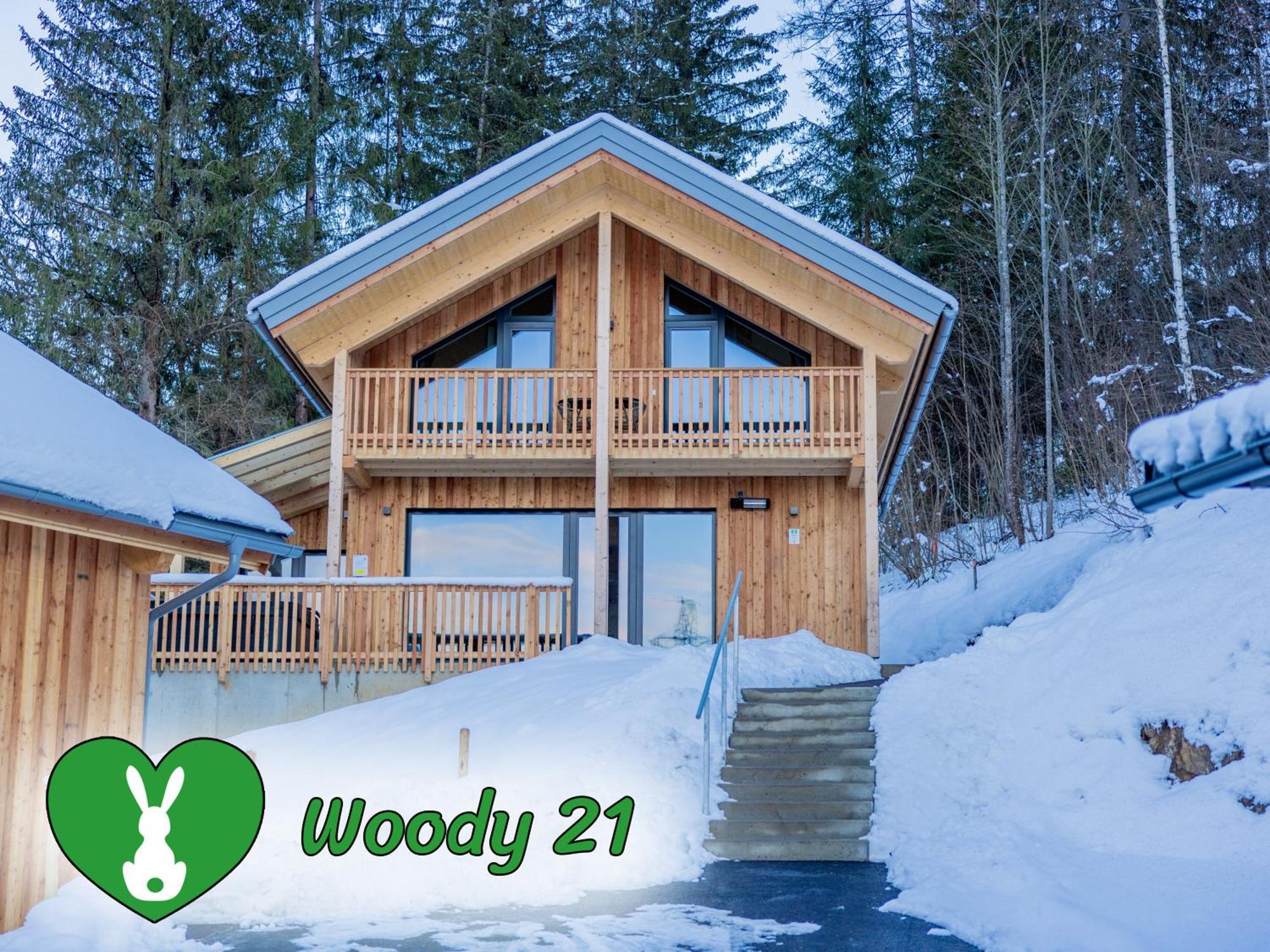 Woody Park Villa ซังคท์เกออร์เกน อ็อบ มูเรา ภายนอก รูปภาพ