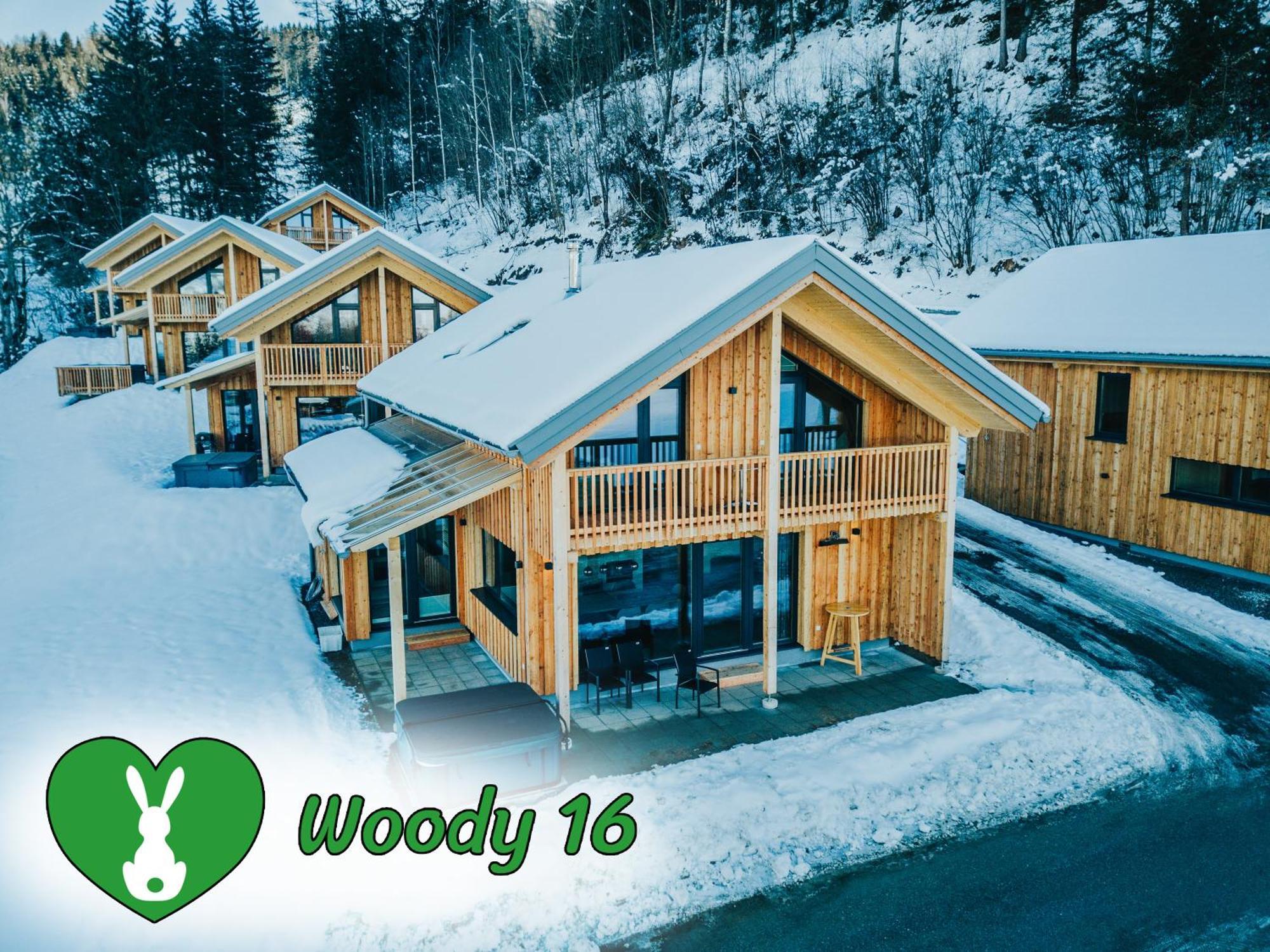 Woody Park Villa ซังคท์เกออร์เกน อ็อบ มูเรา ภายนอก รูปภาพ
