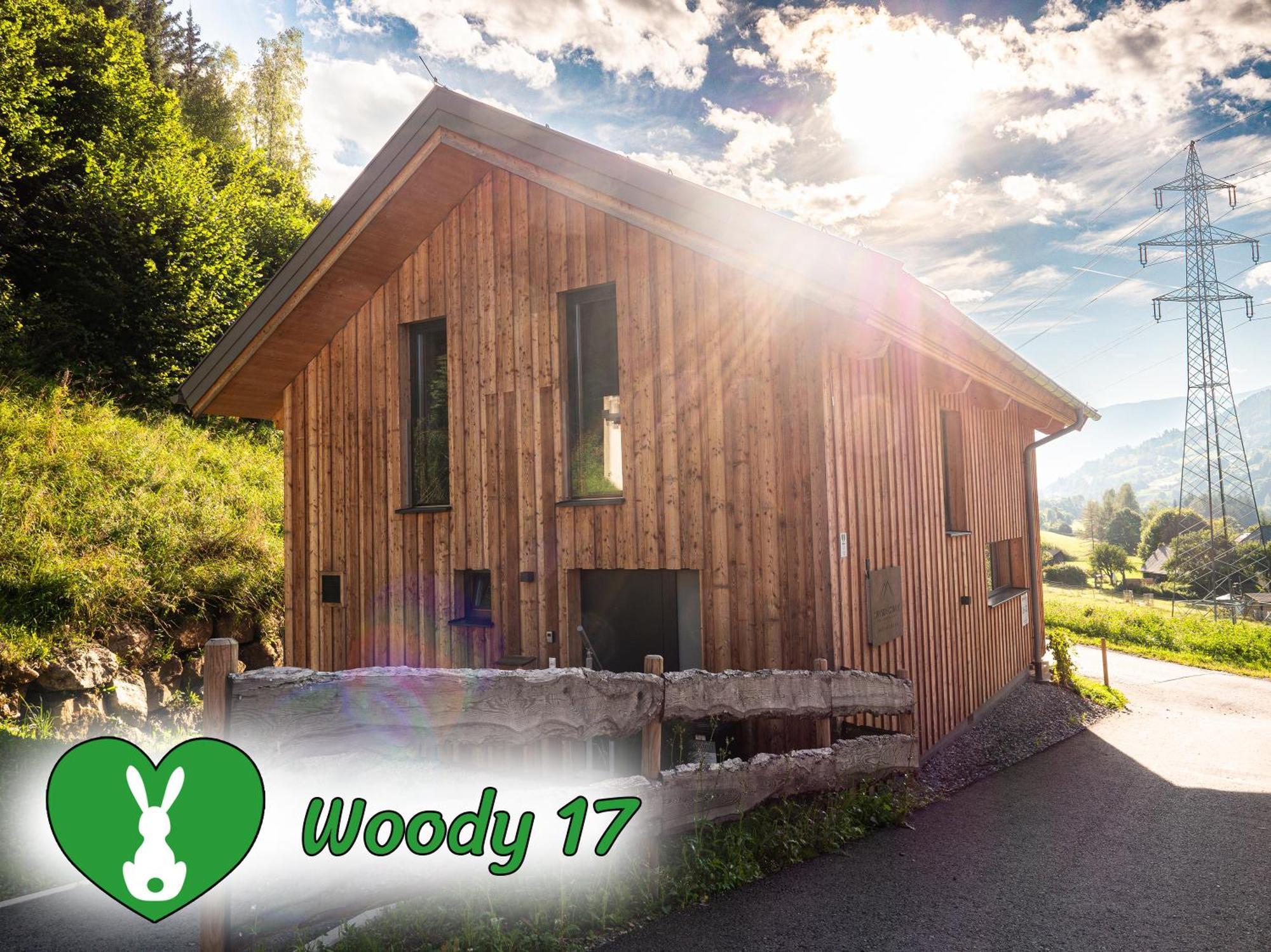 Woody Park Villa ซังคท์เกออร์เกน อ็อบ มูเรา ภายนอก รูปภาพ