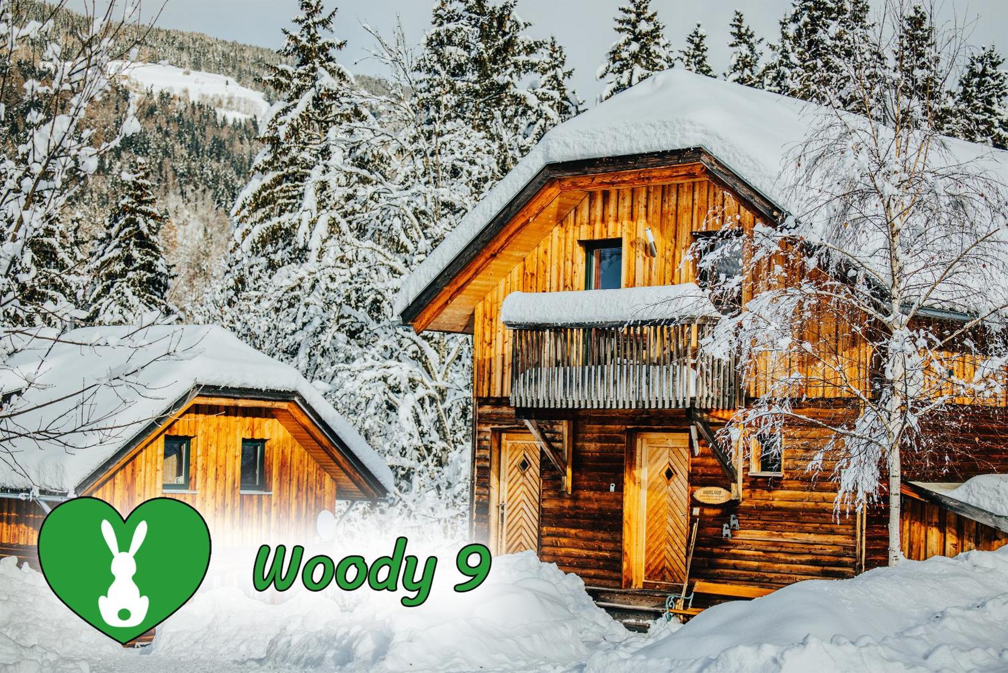 Woody Park Villa ซังคท์เกออร์เกน อ็อบ มูเรา ภายนอก รูปภาพ