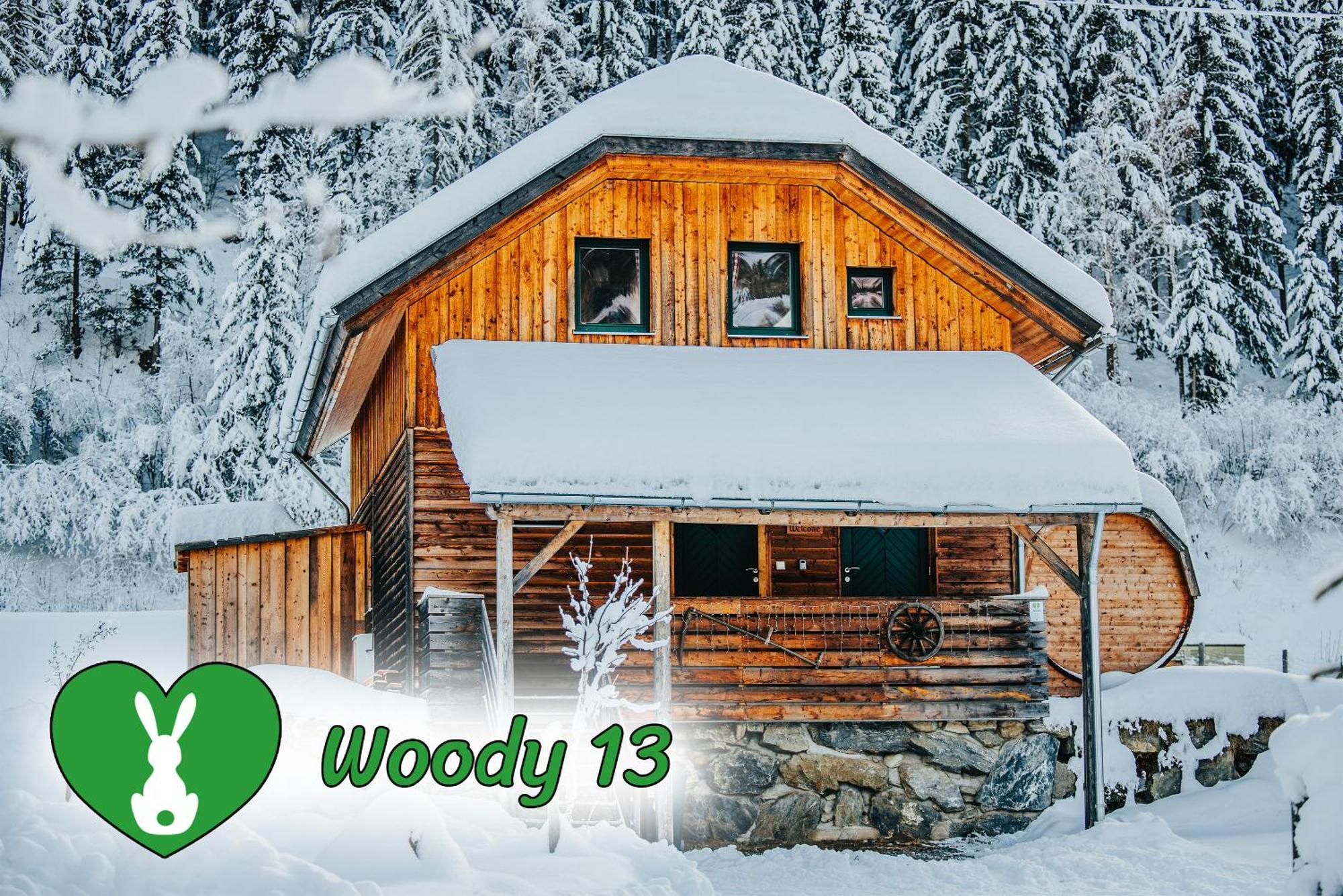 Woody Park Villa ซังคท์เกออร์เกน อ็อบ มูเรา ภายนอก รูปภาพ