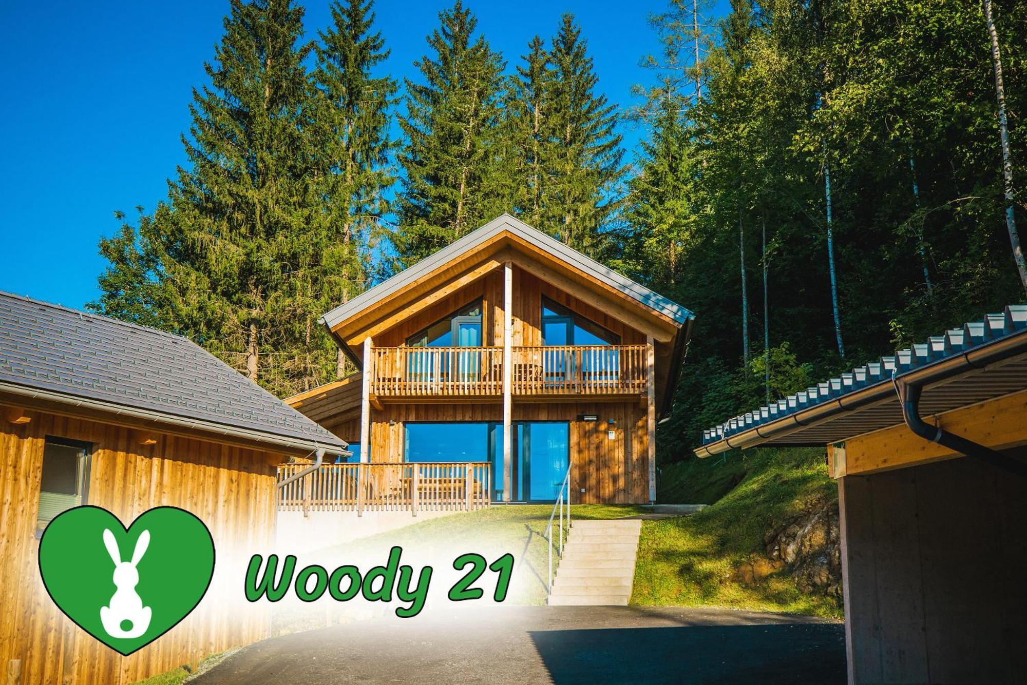 Woody Park Villa ซังคท์เกออร์เกน อ็อบ มูเรา ภายนอก รูปภาพ