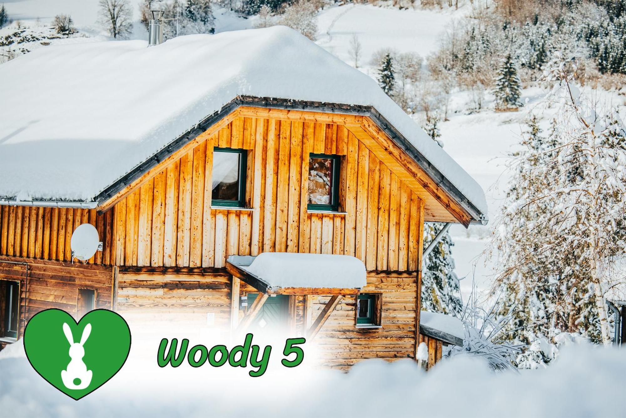Woody Park Villa ซังคท์เกออร์เกน อ็อบ มูเรา ภายนอก รูปภาพ